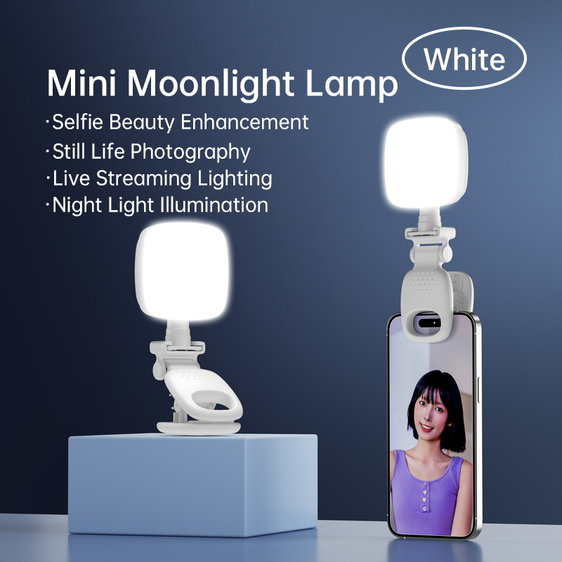 Photography Lighting Continuous - Lampada portatile per selfie a LED