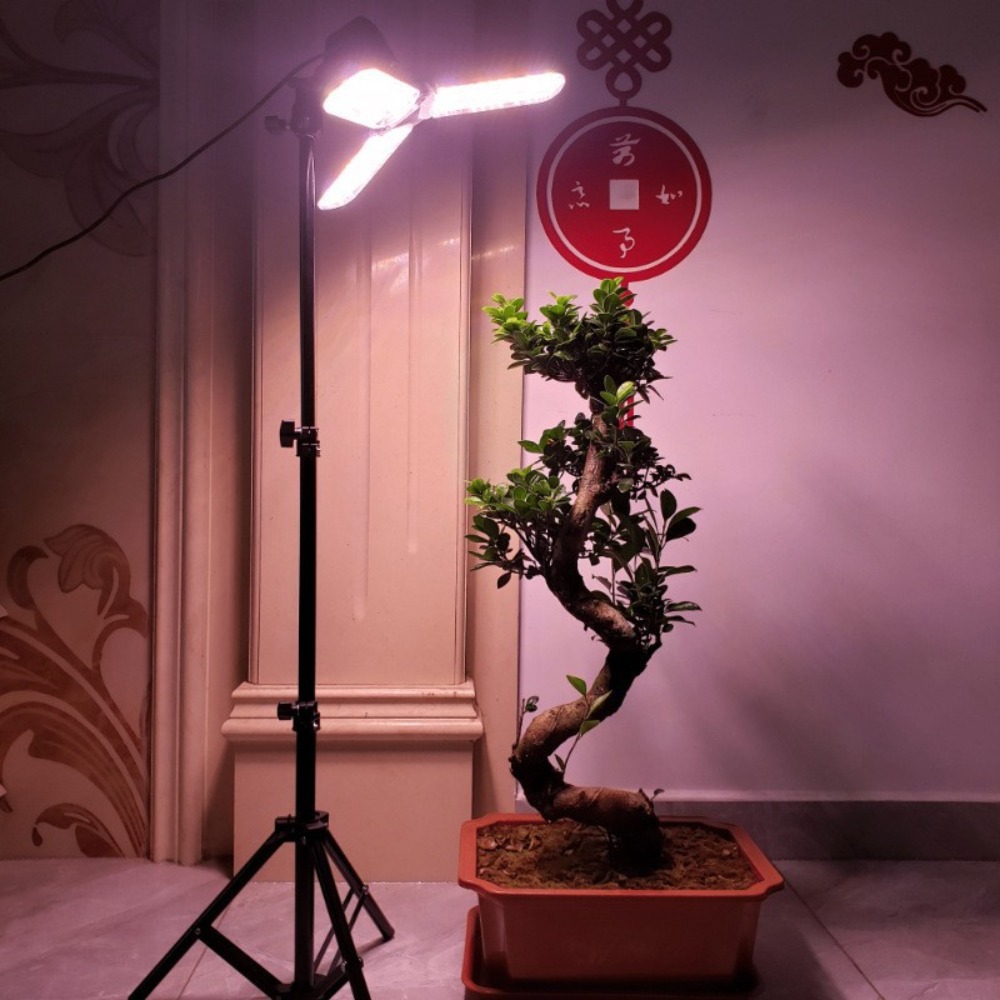 Portalampada 2M, attacco CA E2 - Photography Lighting Mount recensione e prezzo