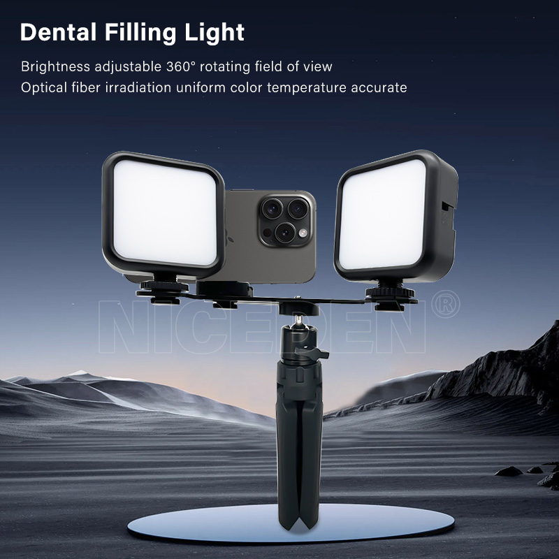 Torcia portatile Niceden per f - Photography Lighting Handheld recensione e prezzo
