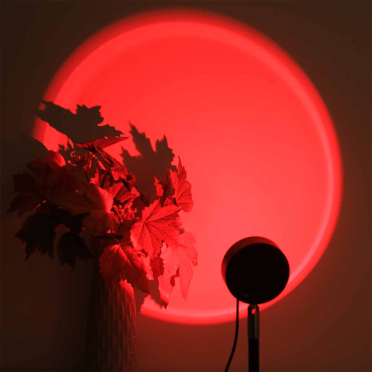 Lampada di Proiezione Tramonto - Photography Lighting Background recensione e prezzo