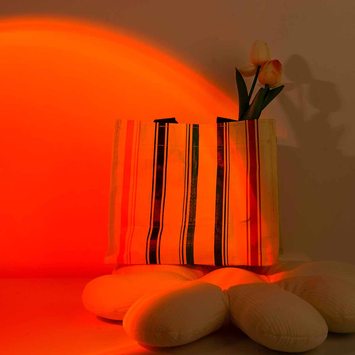 Lampada di Proiezione Tramonto - Photography Lighting Background recensione e prezzo